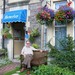 Beverley Guest House's Photo