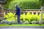 Countrywide Ground Maintenance's Photo