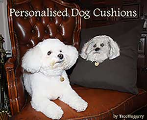 A Cushion for Dog lovers