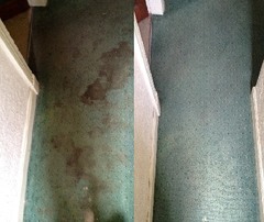 Carpet cleaning Edinburgh