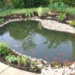 pond by oaktrees gardening