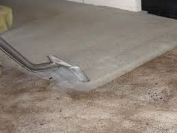Carpet Cleaning's Photo