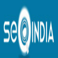 SEO India's Photo