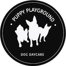 Puppy Playground's Photo