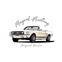 Magical Mustang's Photo